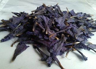 همه چیز درباره ی گل گاو زبان