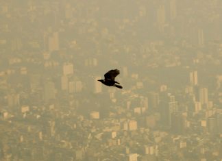 تاثیر آلودگی بر اعضای مختلف بدن