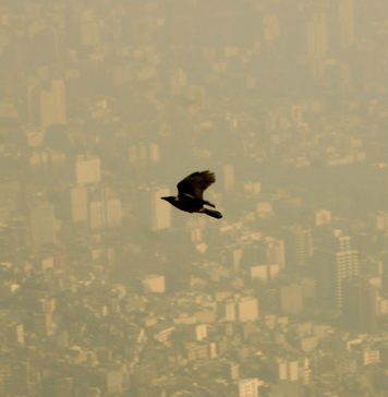 تاثیر آلودگی بر اعضای مختلف بدن