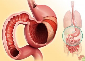 چگونه قدرت هضم معده خود را افزایش دهیم؟